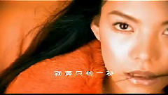 张惠春 - 不能改