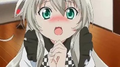动漫专属,阿澄佳奈 - 这いよれ先进国!ニャル子キャニオン