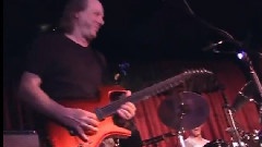Adrian Belew - Big Electric Cat