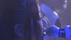 仓木麻衣 - Brave Your Heart