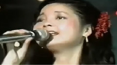 邓丽君 - 奈何