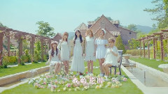 A Pink - Secret Garden