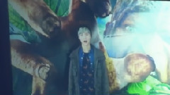 EXO - 鹿晗公开照片