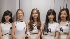 A Pink - 1st Japan Showcase