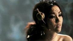 谢安琪 - 艺妓回忆录