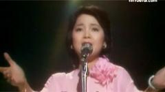 邓丽君 - Bridge Over Troubled Water