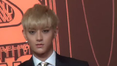 EXO,EXO-M,EXO-K - 红毯
