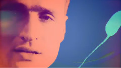 Wild Beasts - Mecca
