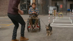 Glee Cast - Werewolves Of London