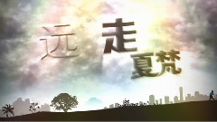 夏梵 - 远走