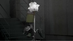 Miu Mau - Spring