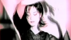 王菲 - 雪中莲