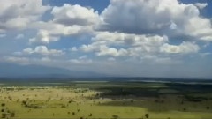 欧美群星 - Begun In Africa