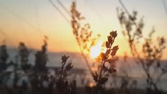 音乐短片,风景,欧美群星 - Helpless