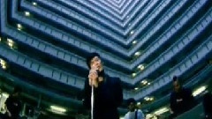 余文乐 - 南拳