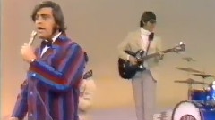 The Turtles - Happy Together