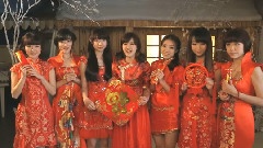 七朵组合 - 贺岁致七叶草