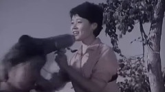 影视原声 - 要问我们想什么
