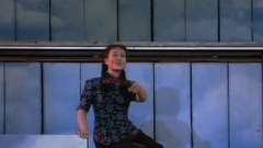 彭丽媛 - 在希望的田野上