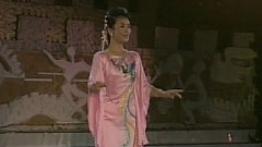 彭丽媛 - 谁不说俺家乡好