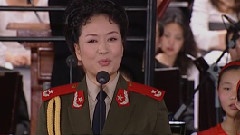 彭丽媛 - 祖国歌