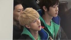 EXO,EXO-K,EXO-M - 偶像运动会观众席