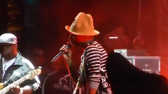 T.I.,Pharrell Williams - Blurred LInes
