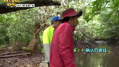 EXO,朴灿烈(EXO) - 丛林法则之小火凤 E04