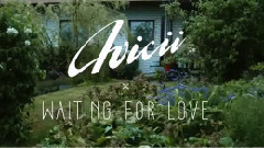 Avicii - Waiting For Love