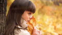 音乐短片 - Feeling It All