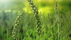 音乐短片 - 光影春秋