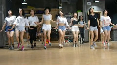 舞蹈视频 - Shake It