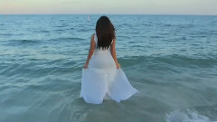 音乐短片,欧美群星 - 蔓延的爱 Bleeding Love