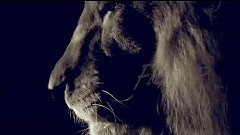 Wanessa - Beast