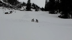 音乐短片 - Clara On The Clara's