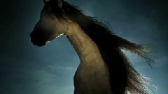 音乐短片 - It's Not A Goodbye