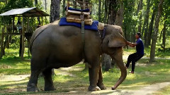 音乐短片 - 尼泊尔风情