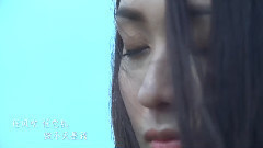 华语群星 - 野子
