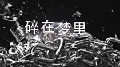 SMROOKIES - Destroyer毁灭者