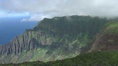 音乐短片 - 美丽的夏威夷森林