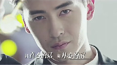 张杰,杨坤,佟大为,郑元畅,陈学冬 - 真心英雄
