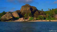 音乐短片 - 大海和D大调