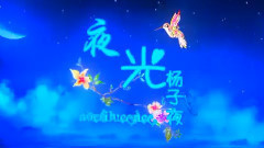 华语童星 - 夜光
