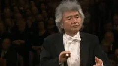 贝多芬D大调小提琴协奏曲第一乐章