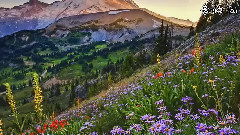 音乐短片 - Walk Right Back