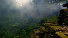 音乐短片 - Uplifting Trance