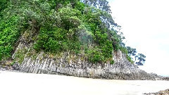 音乐短片 - Thanks To Life