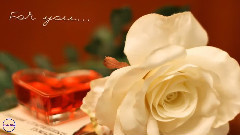 音乐短片 - Greatest Love