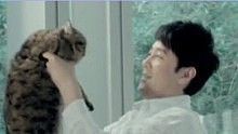 蔡国庆 - 蔡国庆《小猫》
