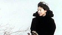 林忆莲 - 林忆莲《The Rose》